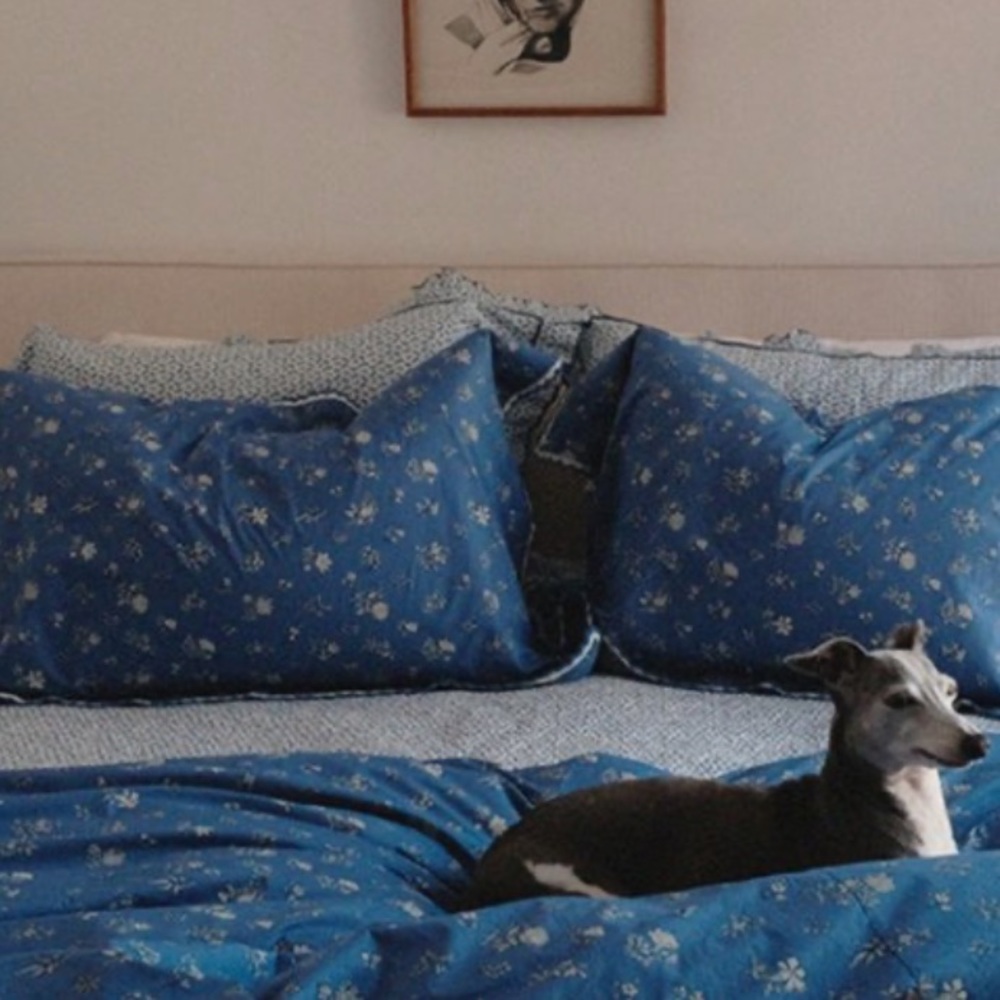ISO Doen duvet and shams